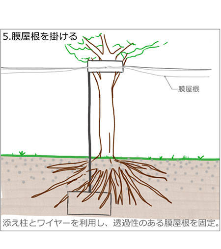 休憩舎が出来るまで05