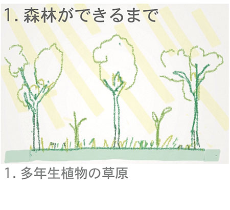 森出来るまで01