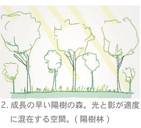 森出来るまで02