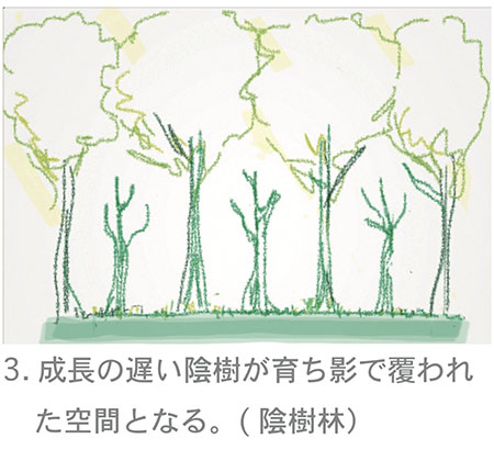 森出来るまで03