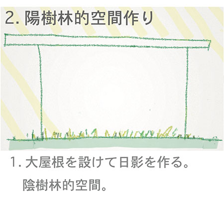 陽樹林的空間作り01